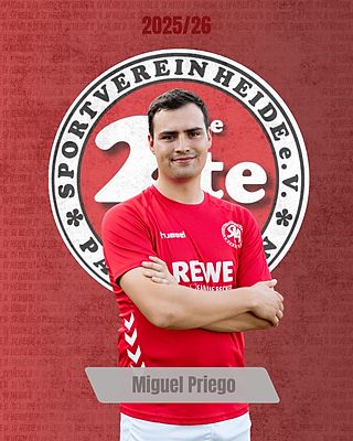 Miguel Priego Wyshoff