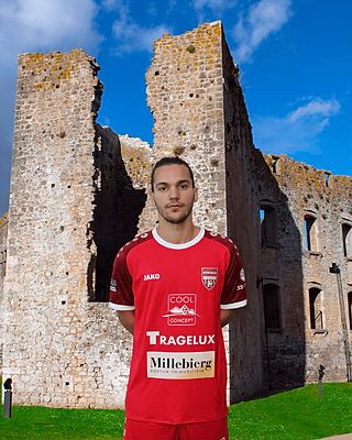 Alexandre Silveira Gonçalves