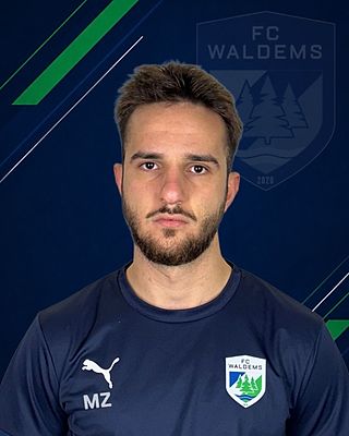 Merdan Zejnelovic
