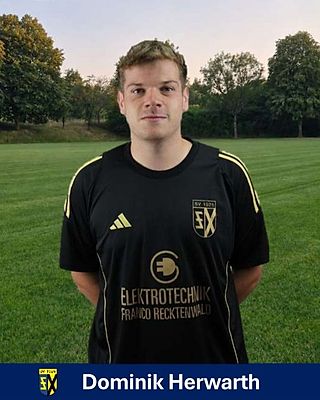 Dominik Herwarth