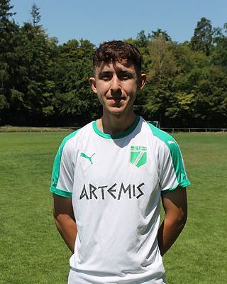 Baha Ercan