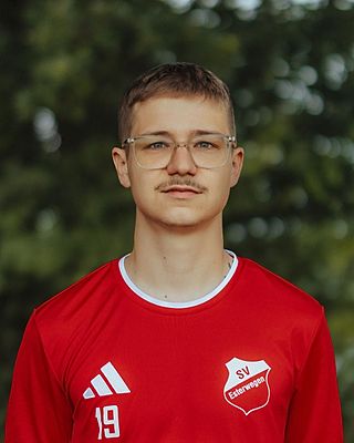 Wilko Albers
