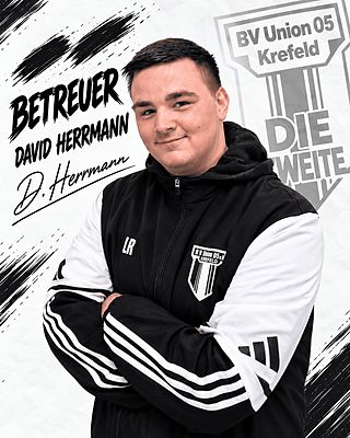 David Herrmann