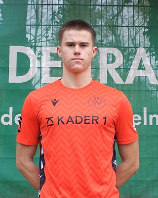 Niels Schröder