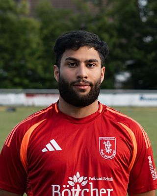 Mohammad Zeinaly