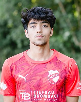 Shaheen Haidari