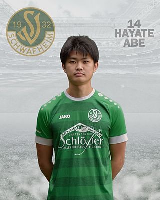 Hayate Abe