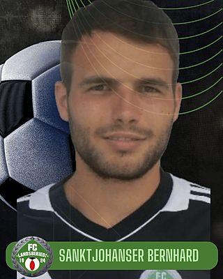 Bernhard Sanktjohanser