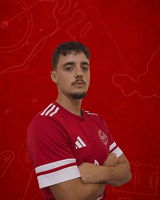 Plamen Hristov Cheshilev