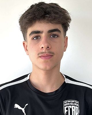 Valerio Davide Bergantino