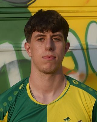 Dominik Patrice Schönmeyer