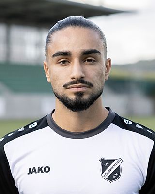 Arda Ermis