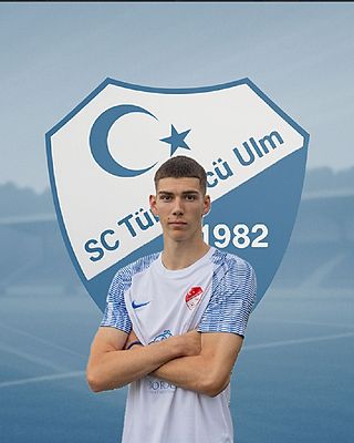 Nikola Vilotijevic