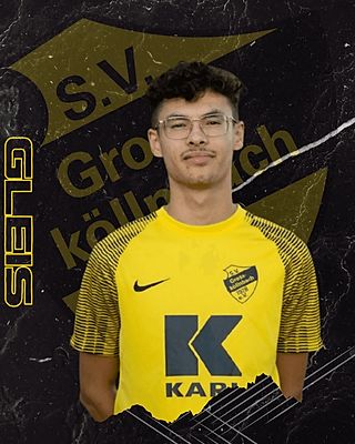 Philipp Gleis