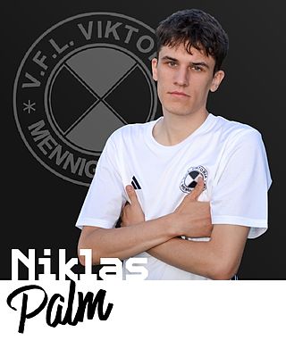 Niklas Palm