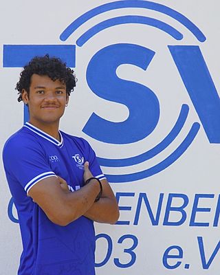 Vin Owasi
