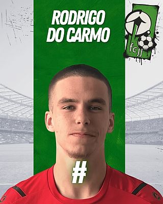 Rodrigo Do Carmo Loureiro