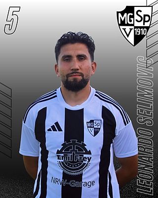 Leonardo Selimovic