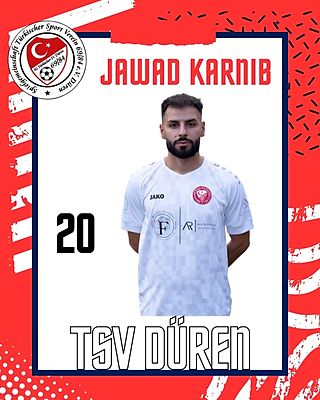 Jawad Karnib