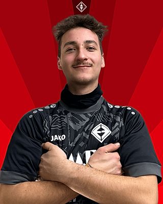 Fabian Moll