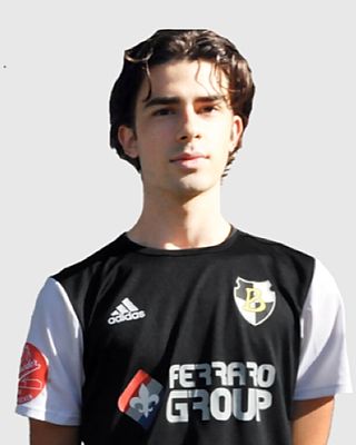 Alex Danailov Velikov