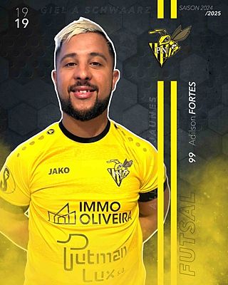 Adilson Rafael Rodrigues Semedo Fortes