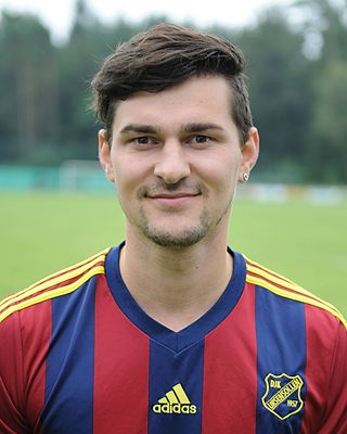 Hans-Georg Schinhammer