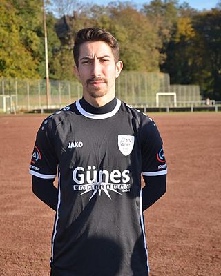 Mikail Seyfullah Temel