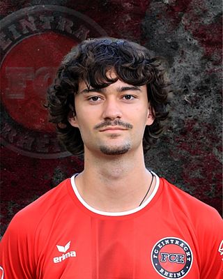 Pierre Miguel De Faria Alves Pinto