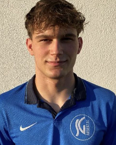 Arian Straub