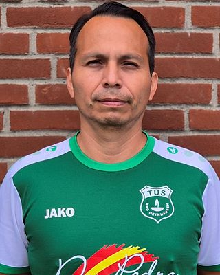 Luis Enrique Medina Castillo