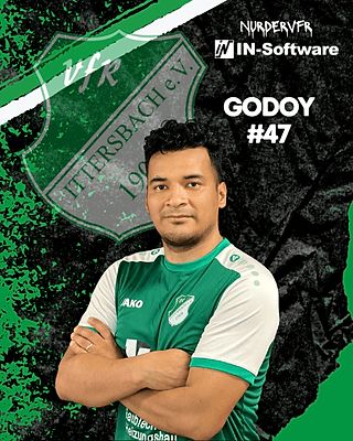 Luis Godoy