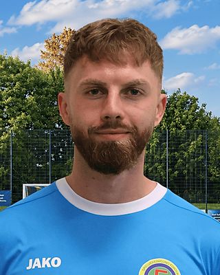 Tobias Stanik