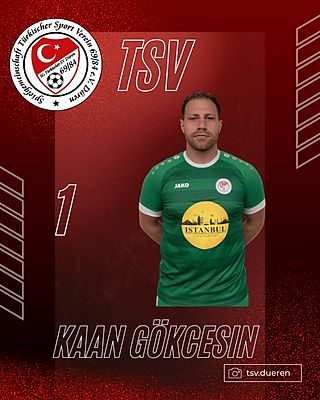 Kaan Gökcesin
