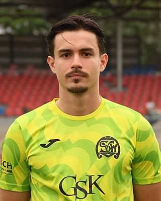 Sertzio Shahaj