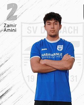 Ahmad Zamir Amini