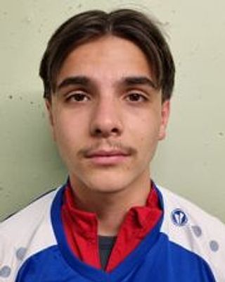 Alan Zulji