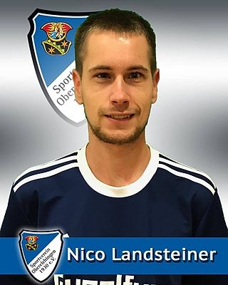 Nico Landsteiner