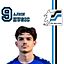 Ajdin Husic