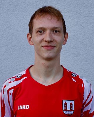 Marius Stein
