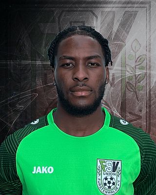 Oluwasegun Victor Adelusi