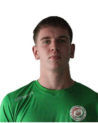 Hugo Maximilian Ilse