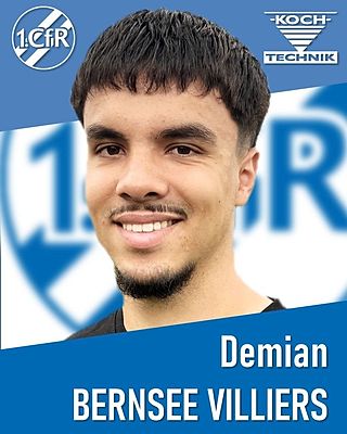 Demian Bernsee Villiers