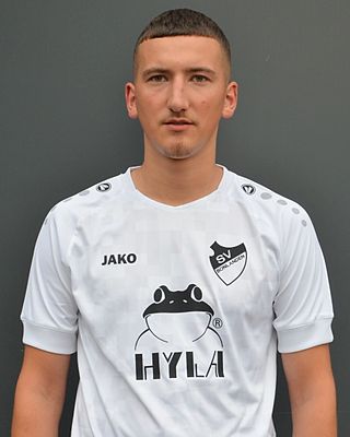 Art Gashi