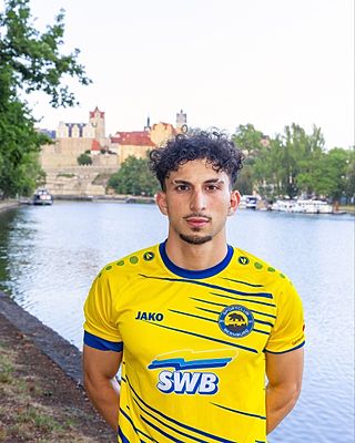 Ihab El Zayat