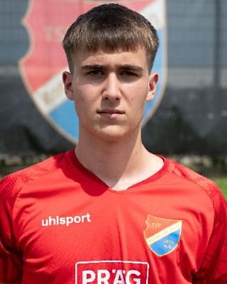 Milan Nedic