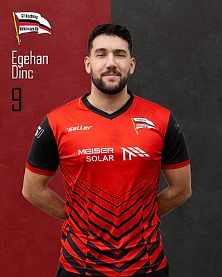 Egehan Dinc
