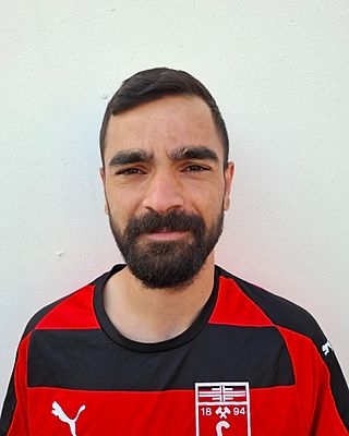 Gheorghe-Claudiu Stefan