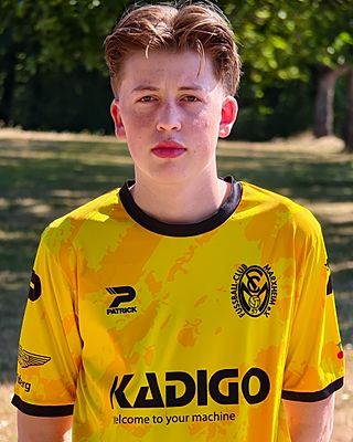 Jannis Werner