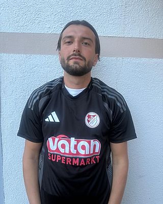 Erhan Kurpejovic